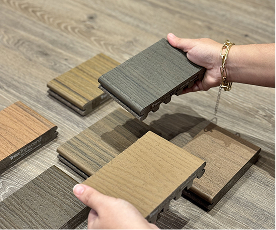 Showroom TERRA