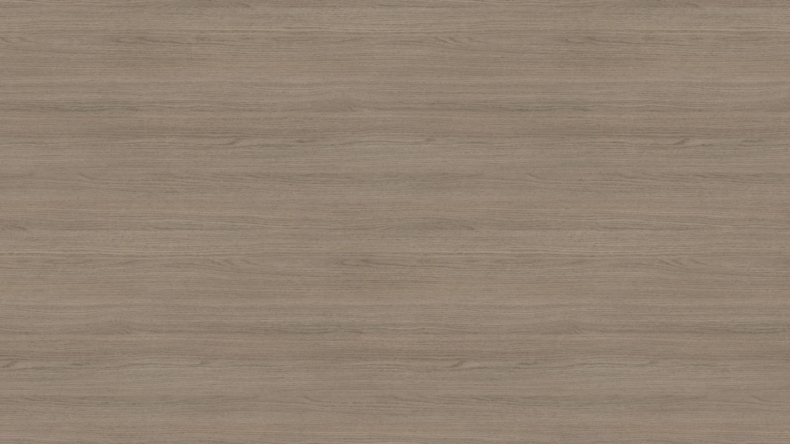 Grey Vicenza Oak
