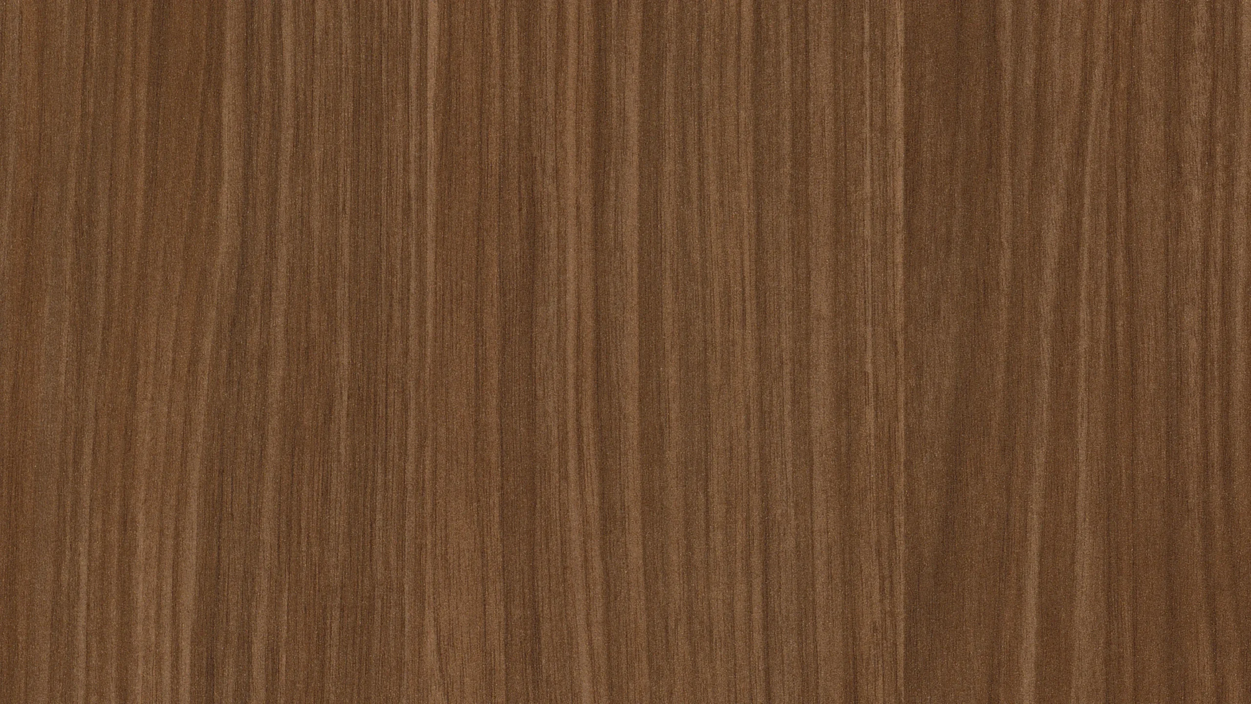 Lincoln Walnut